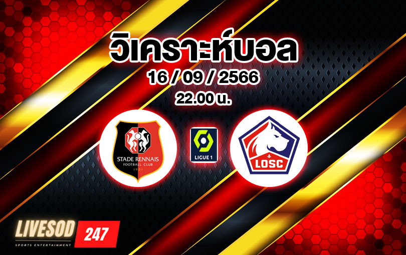 วิเคราะห์บอล ลีกเอิง แรนส์ vs ลีลล์ 2023/2024