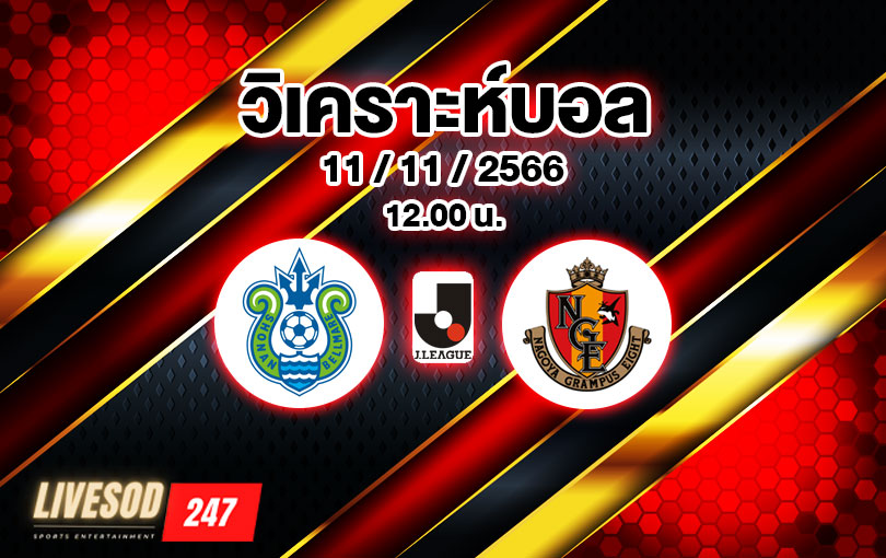 วิเคราะห์บอล เจ ลีก เบลล์มาเร่ vs นาโงย่า 2023/2024